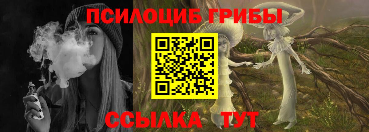 Дивногорск  Галлюциногенные грибы мицелий  сколько стоит  Вход с VPN 
